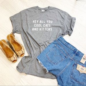 Delta Pro Weight Hey All You Cool Cats And Kittens Graphic T-Shirt‎ Gray Large